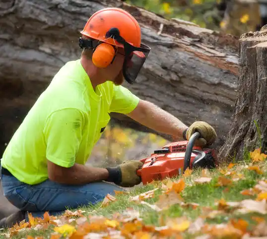 tree services Walnut Grove